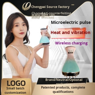 스마트 라이브러리 2025 신형 상업용 전기 괄사 기기 - Wellness Spa With Hotel 리뷰 및 가격